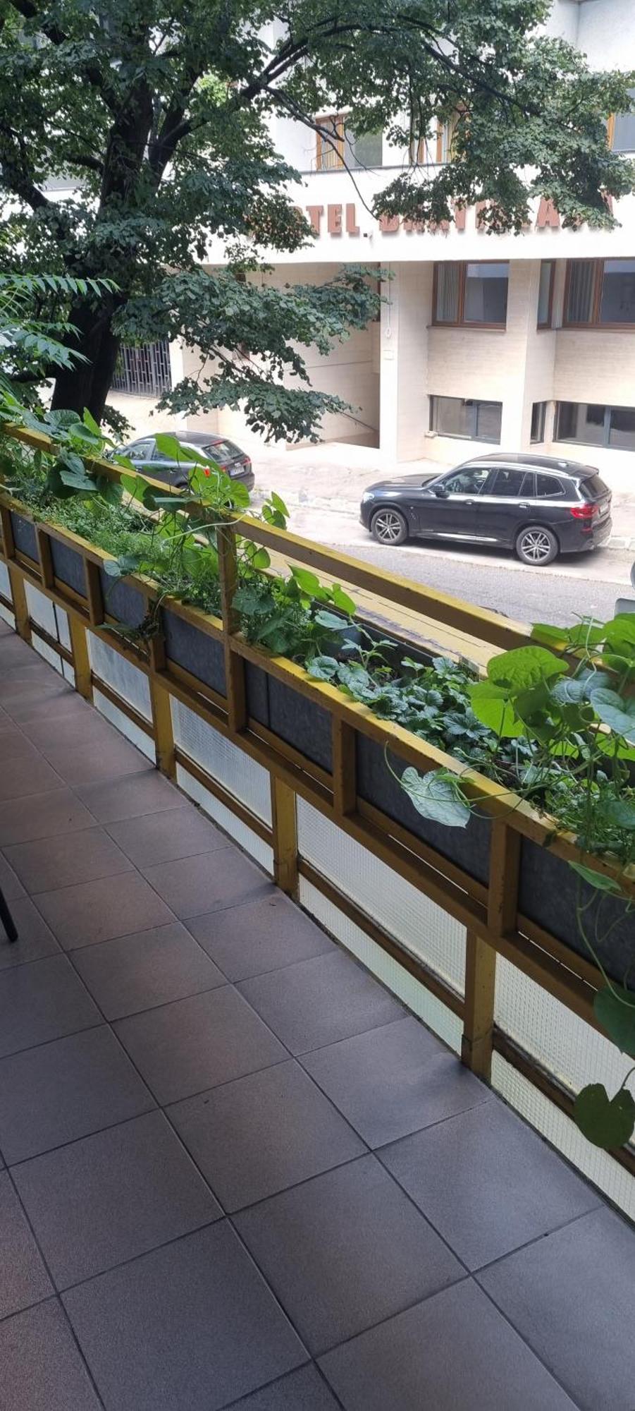 Family Apartman V Centre Mesta Bratislava Apartment Bagian luar foto